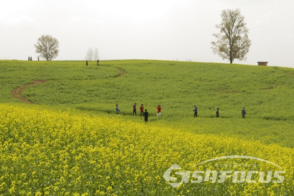 봄 나들이 나온 시민들이 유채꽃밭에서 즐기는 모습. 사진/강종민 기자