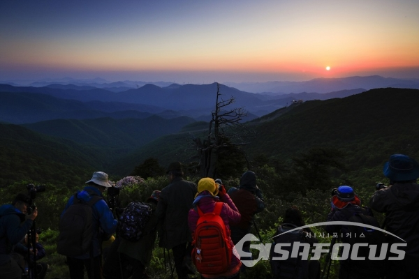 철쭉꽃 일출풍경 촬영을 위해 새벽 함백산에 오른 사진작가들. 사진/강종민 기자