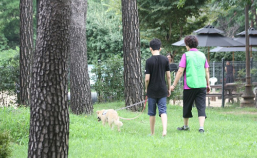 서울시가 시민이 직접 유기견과 공원에서 산책을 해보며 입양상담을 받고 원하면 입양까지 할 수 있는 ‘유기견과 함께하는 행복한 산책’ 프로그램을 개시했다 / ⓒ서울시 제공