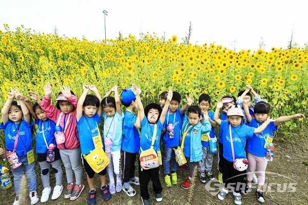 해바라기꽃을 구경하며 즐거워하는 어린이들. 사진/강종민 기자