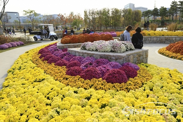 임시개방한 식물원을 방문한 시민들이 국화꽃밭에서 휴식을 취하고있다. 사진/강종민 기자