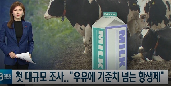 사진 / SBS 8뉴스 캡처