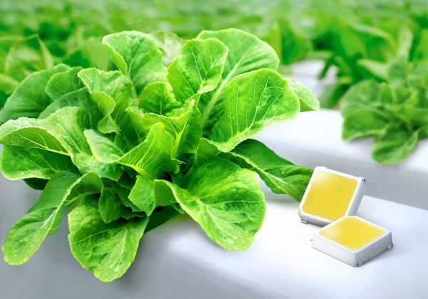 삼성전자, 식물 생장용 백색 LED 업계 최고 효율 달성 @ 삼성전자