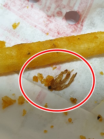 맘스터치 감자튀김에서 함께 튀겨진 벌레가 나왔다는 주장이 제기돼 논란이다. (사진 / 온라인 커뮤니티)
