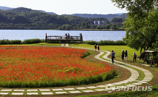 양귀비꽃밭과 북한강이 조화를 이룬 꽃길을 산책하는 시민들.  사진/강종민 기자