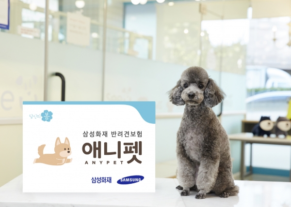 서울시는 지난 3월부터 서울시 동물보호센터에서 유기견을 입양하는 모든 시민에게 삼성화재 '반려견보험 애니펫' 가입을 지원하고 있다. ⓒ삼성화재