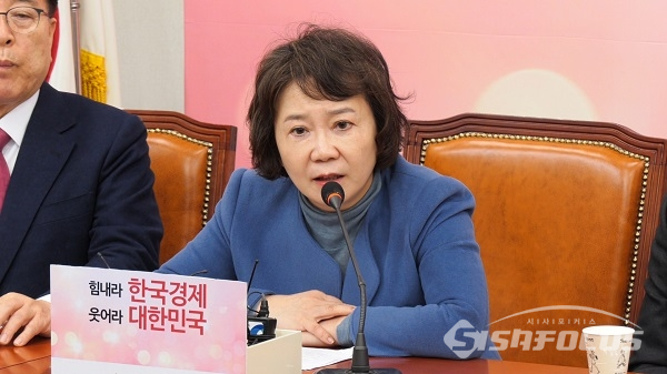 정미경 최고위원이 발언하고 있다. 사진 / 박상민 기자