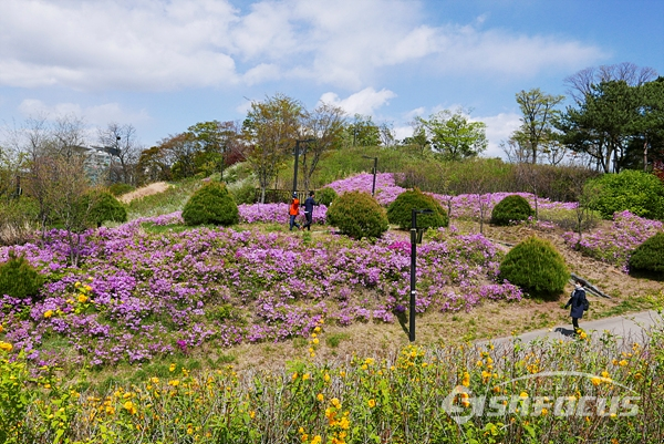 화려한 철쭉꽃으로 뒤덮힌 남산공원, 소수의 산책객으로 거리두기 실천이 자동으로 이루어진다.  사진/강종민 기자