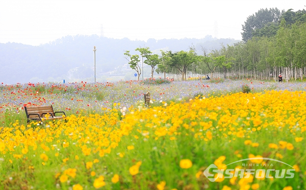 형형색색의 꽃들과 자작나무로 조화롭게 조성된 삼패공원의 아름다운 풍경.   사진/강종민 기자
