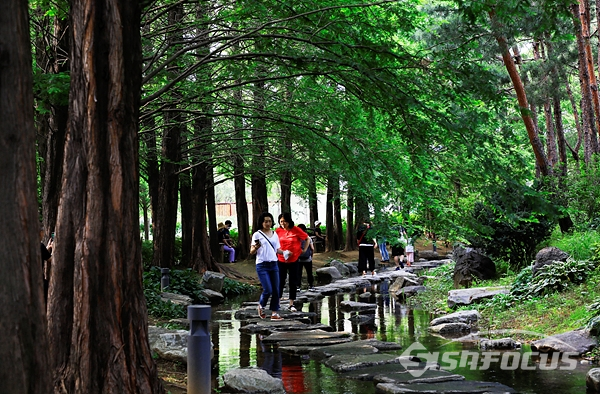 경기도 지방정원1호답게 잘 가꿔진 수로 산책로를 걸으며 즐거워하는 시민들.   사진/강종민 기자