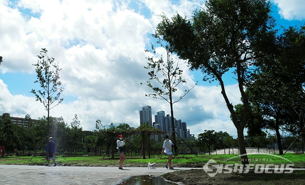 파란하늘의 가을분위기를 즐기며 애완견을 데리고 산책하는 시민 모습.   사진/강종민 기자