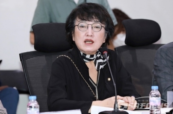 열린민주당은?법사위와 국토위 두 위원의 사보임을 추진하려 한다고 밝힌 김진애 의원.ⓒ시사포커스DB