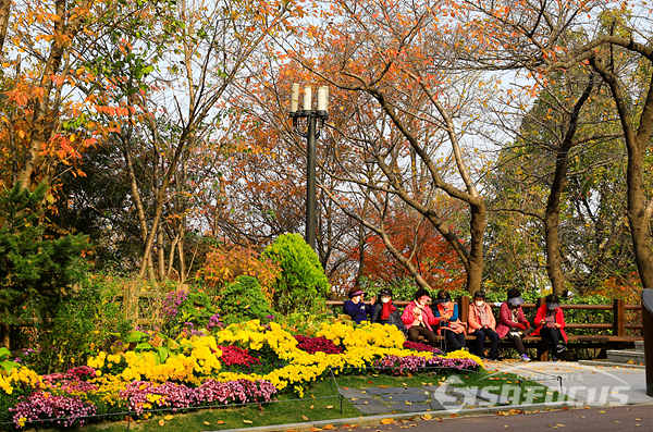 둘레길 주변에 조성된 국화꽃밭에서 휴식을 취햐며 가을 정취를 만끽하는 시민들.  사진/강종민 기자