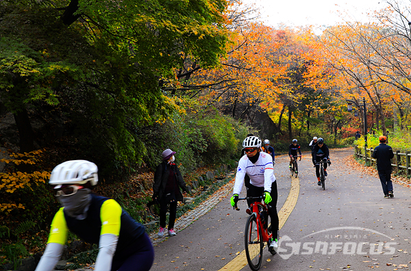 남산둘레길 화려한 단풍길을 자전거로 달리며 즐기는 자전거 동호인들.   사진/강종민 기자
