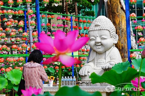 연꽃 향기에 미소가 가득한 부처님의 자비로운 표정.  사진/유우상 기자