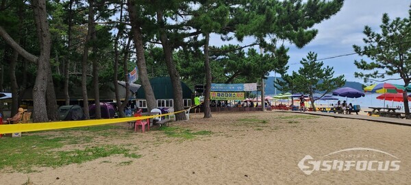 노란선을 기준으로 사유지와 해수욕장으로 나뉘어있는 명사십리해수욕장의 개인사유지인 소나무 사이에 관광객들의 코로나19 거리두기 및 발열체크 등 관리가 되지 않고 있다.(사진 / 박영용 기자)