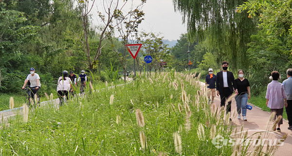 초가을 날씨의 산책길에도 많은 시민들이 산책하며 휴일을 즐기는 모습이다.    사진/강종민 기자