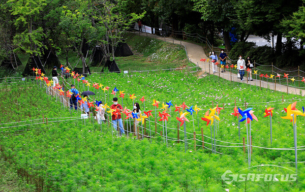 25일 서울 송파구 올림픽공원 들꽃마루를 찾은 시민들이 언덕 뒤편 코스모스 꽃밭을 걸으며 휴식을 즐기는 모습.  사진/강종민 기자