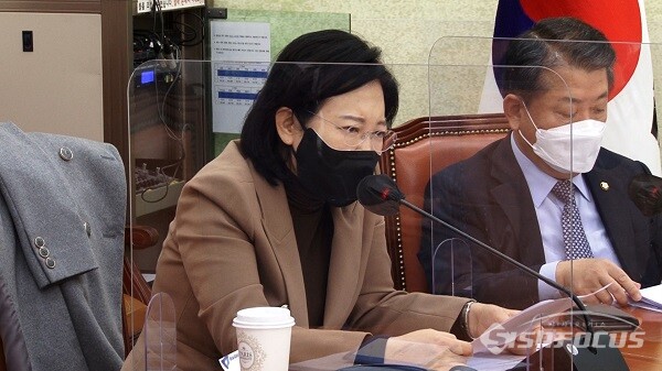 더불어민주당 이수진 원내부대표가 11일 서울 여의도 국회에서 열린 정책조정회의서 발언하고 있다.