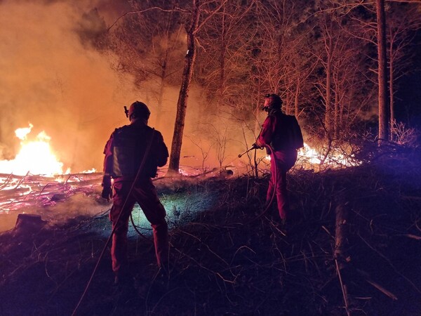산불진화대원이 야간산불을 진화하고 있다. 사진 / 산림청