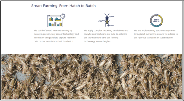 롯데제과가 100억 원을 투자한 아스파이어 푸드 그룹 홈페이지 캡쳐 ⓒ아스파이어푸드그룹