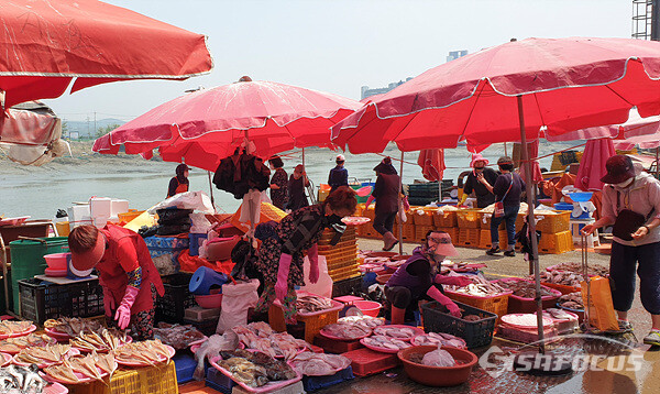 방금 잡아온 싱싱한 생선을 사기위해 북적이는 소래포구 어시장 모습.  사진/강종민 기자
