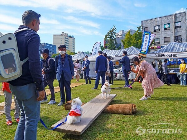 육의전 축제에  참가한 시민들이 다양한 프로그램을  즐기고있다.  사진/유우상 기자