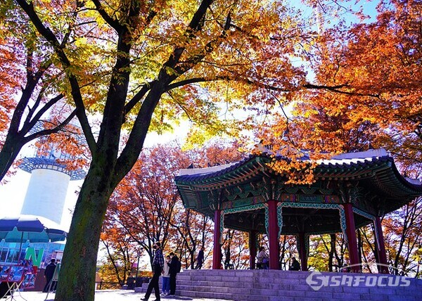 남산의 가을이 무르익어가고있다. 외국 관광객은 빨간 단풍이 신기해 마냥 즐겁기만하다.  사진/유우상 기자