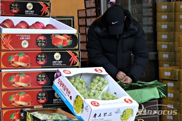  청량리청과물도매시장에서 상인이 과일을 진열하고 있다.(2)