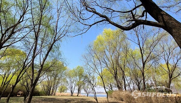 27일 오후 서울 강서습지생태공원에서 촬영.  사진/유우상 기자