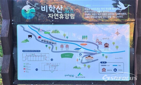 경북 포항시 소재 비학산 자연휴양림.사진/김영삼 기자