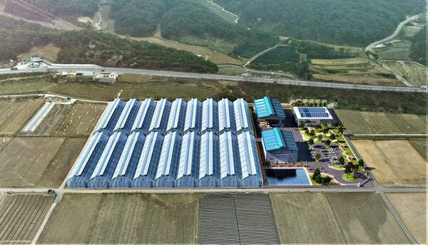 임대형 스마트팜 단지 사전조감도. 사진/봉화군