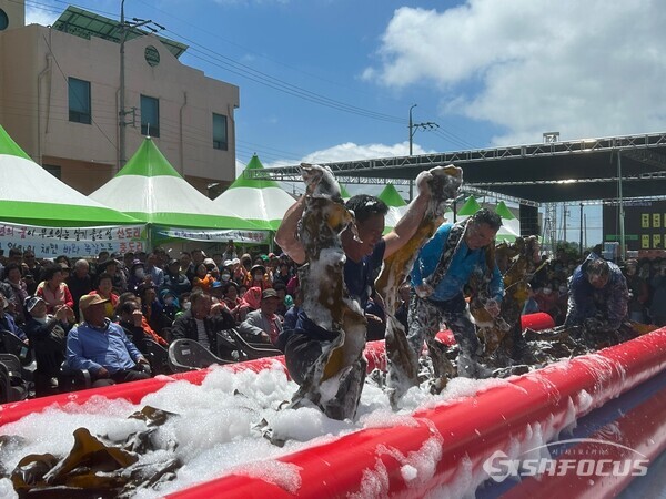 완도 금일읍에서 제14회 다시마 축제가 열렸다.(다시마 슬라이딩) 사진/완도군청 제공