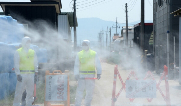충북 청주시 청원구 북이면 한 한우농장에서 방역당국 관계자들이 외부인 출입을 통제하고 있다 / ⓒ뉴시스DB