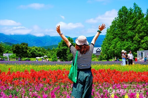 24일 오후 고성 라벤더 마을 하늬팜의 다양한 종류의 아름다운 꽃들이 관광객들에게 행복을~~~ .  사진/유우상 기자
