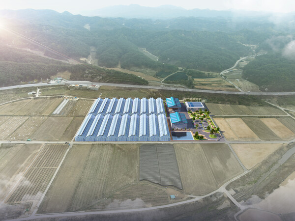 봉화 임대형 스마트팜 단지 조감도. 사진/봉화군 