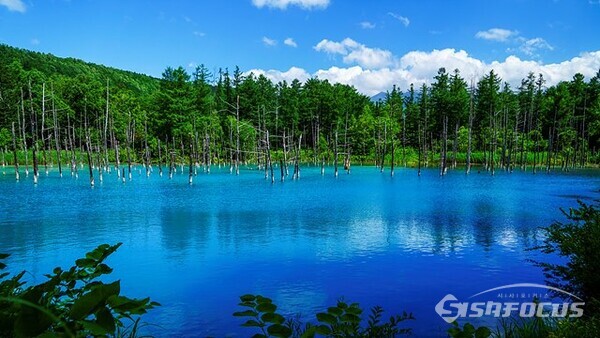 진한 청색의 신비로운 '아오이이케(푸른 호수)'를 보기 위해 많은 관광객이 찾아온다.  사진/유우상 기자