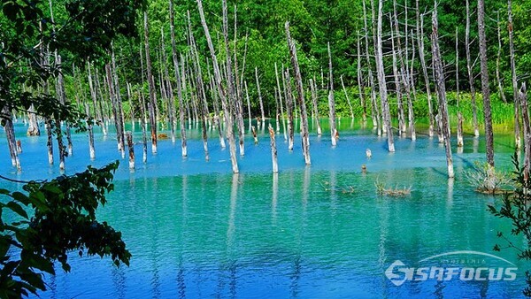 진한 청색의 신비로운 '아오이이케(푸른 호수)'를 보기 위해 많은 관광객이 찾아온다.  사진/유우상 기자