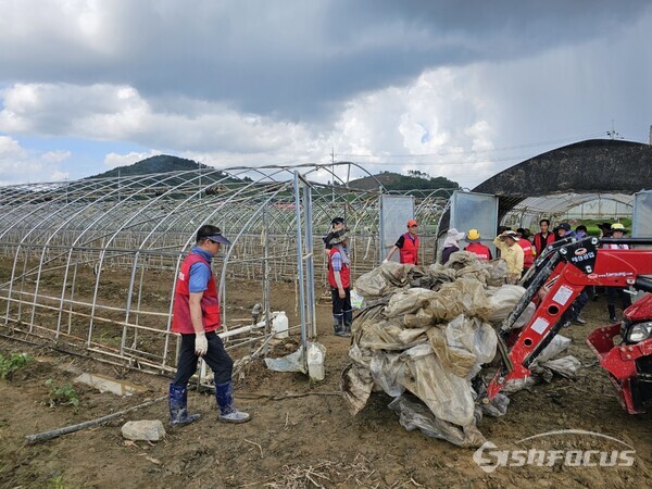 국민의힘 충남도당 자원봉사자들이 무너진 시설에서 비닐을 걷어내고 있다. (사진 / 박창규 기자)