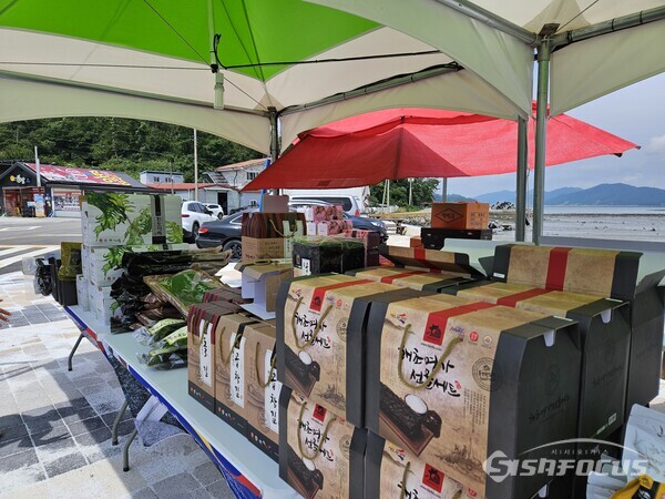 진도군이 농수산물 할인 판매전을 개최한다. 사진/진도군청 제공