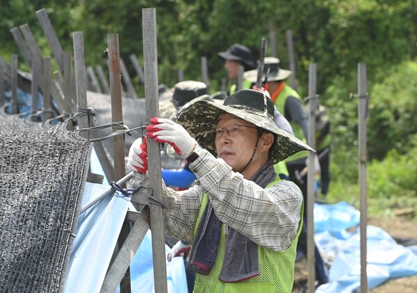 2일 임종식 경북교육감이 예천군 감천면 소재 인삼밭 수해 피해 농가 현장을 찾아 시설을 복구하고 있다. 사진/경북교육청