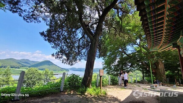 4일 오후 시민들이 파주 화석정에서 임진강을 배경으로 인증샷을 찍고 있다.  사진/유우상 기자
