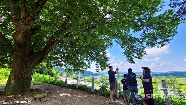 4일 오후 시민들이 파주 화석정에서 임진강을 배경으로 인증샷을 찍고 있다.  사진/유우상 기자