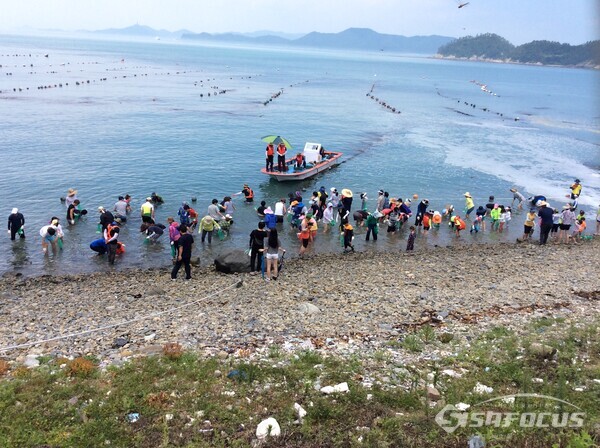 워케이션 마을로 지정된 노화읍 북고리의 전복 체험 모습. 사진/완도군청 제공