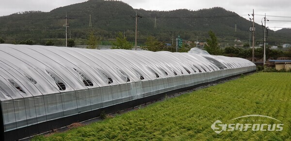 지난 태풍으로 인해 비닐이 찢긴 시설하우스를 거울 삼아 대비에 전념할 것을 당부했다. 사진/강진군청 제공