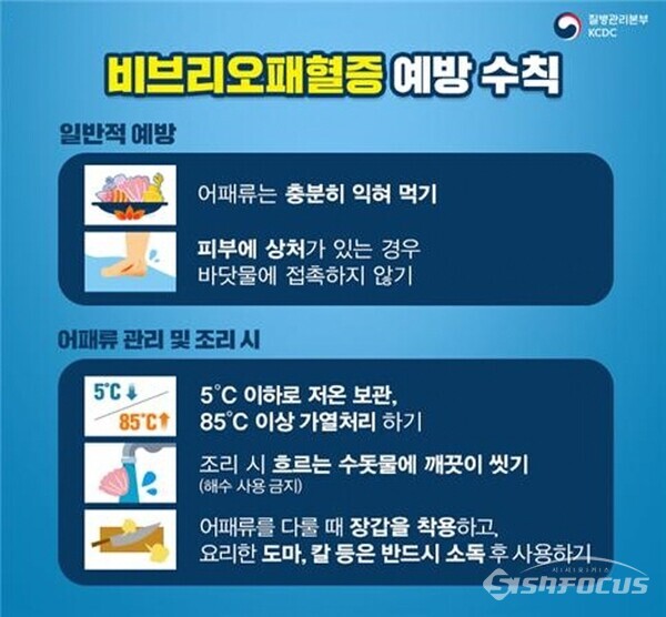 비브리오패혈증 안내 포스터. 사진/강진군청 제공