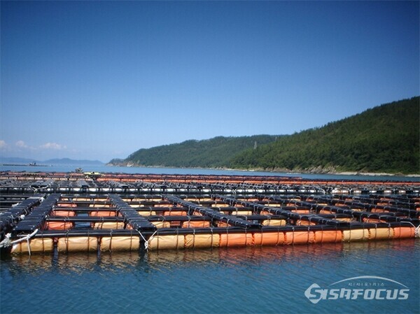 해남군 송지면 전복 양식장 사진/해남군청 제공