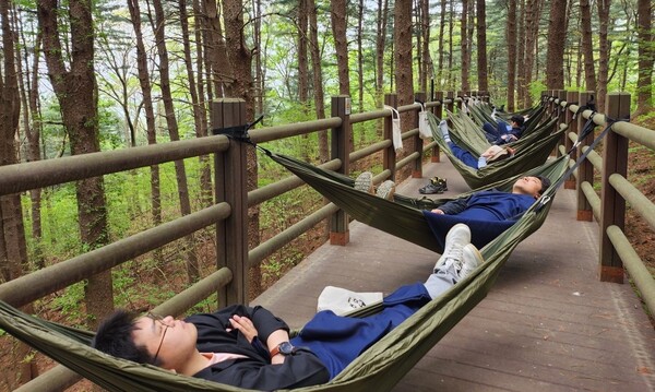 국립김천치유의숲이 해먹을 통해 진정한 쉼을 경험할 수 있는 숲해먹테라피를 운영하고 있다. 사진/한국산림복지진흥원