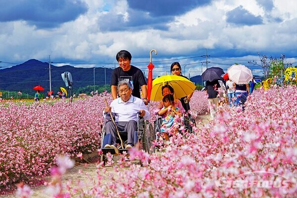 효심이 대단한 휠체어 5인 가족이 즐거운 표정으로 고석정 꽃밭을 구경하고 있다.  사진/유우상 기자