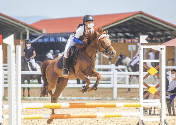 2022 추계전국학생승마대회 겸 유소년승마대회에서 장애물 경기에 참여한 선수가 말과 함께 멋진 비상을 연기하는 모습.사진/구미시
